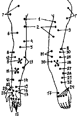 Рис. 4.4. Двигательные точки нервов и мышц верхней конечности (по В.М.Боголюбову, 1985)
