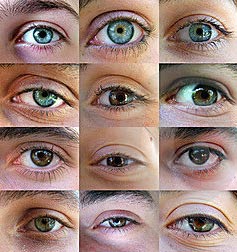 состояние здоровья глаз