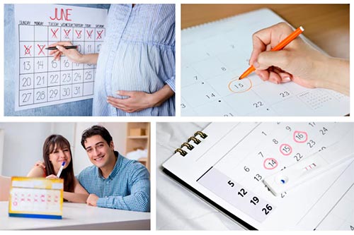 календарь беременности 1