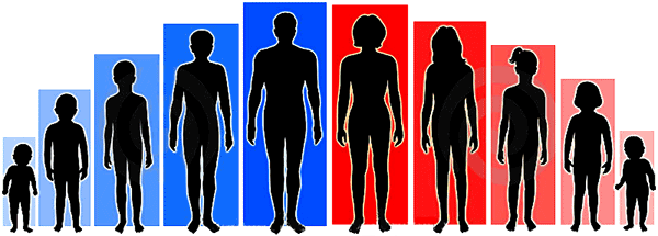 Физиологические изменения подростка. Период полового созревания у детей. Изменение тела подростка. Стадии полового развития человека.