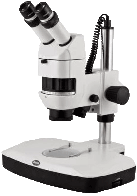 бинокулярный микроскоп